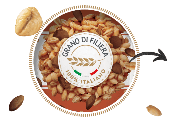 Grano di filiera