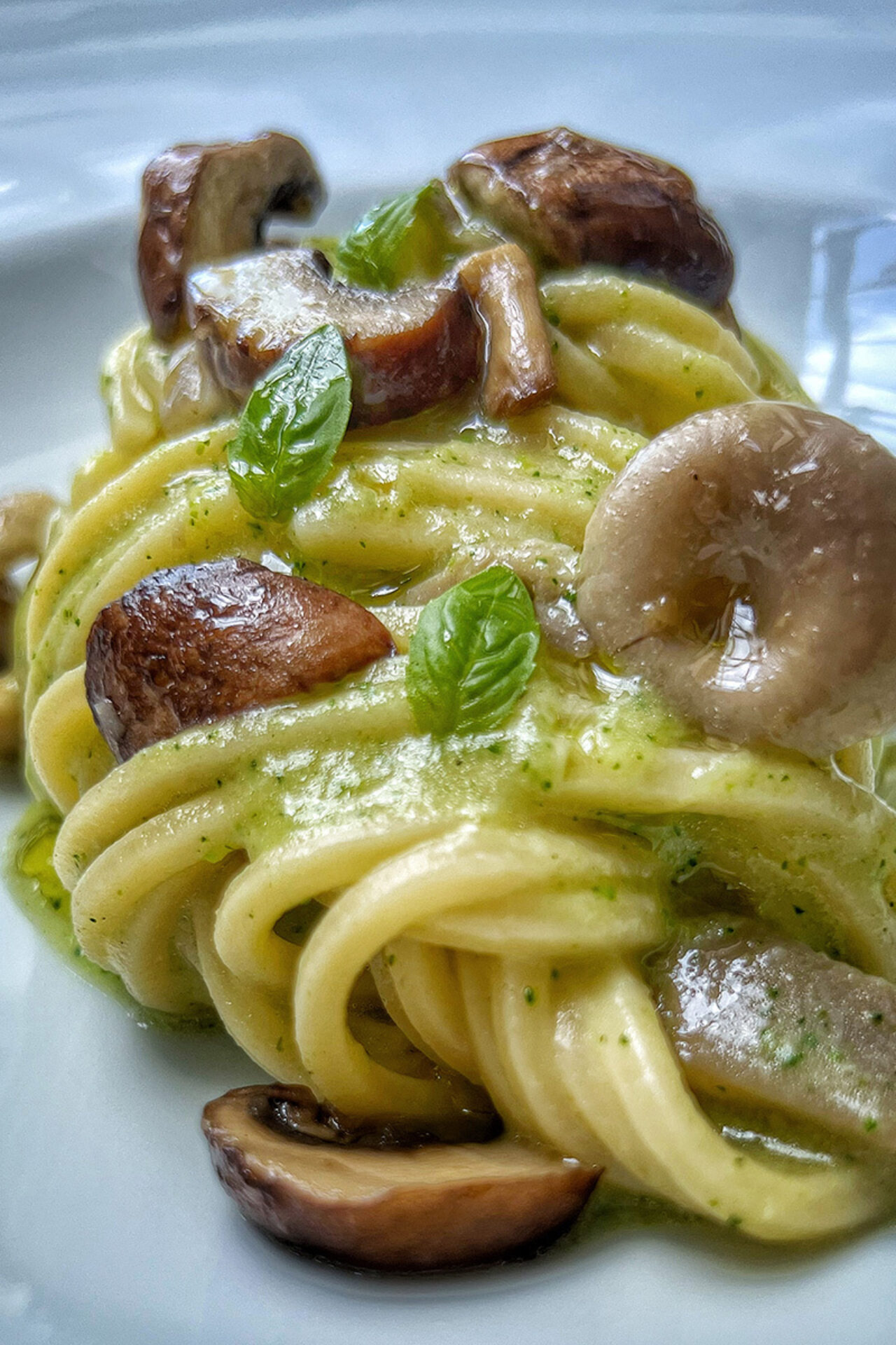 Chitarra, crema di zucchette e funghi misti