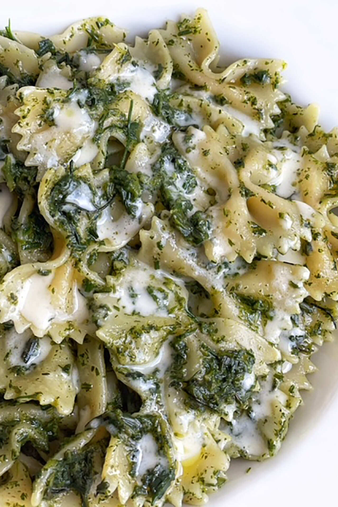 Farfalle al pesto di agretti e fonduta di taleggio