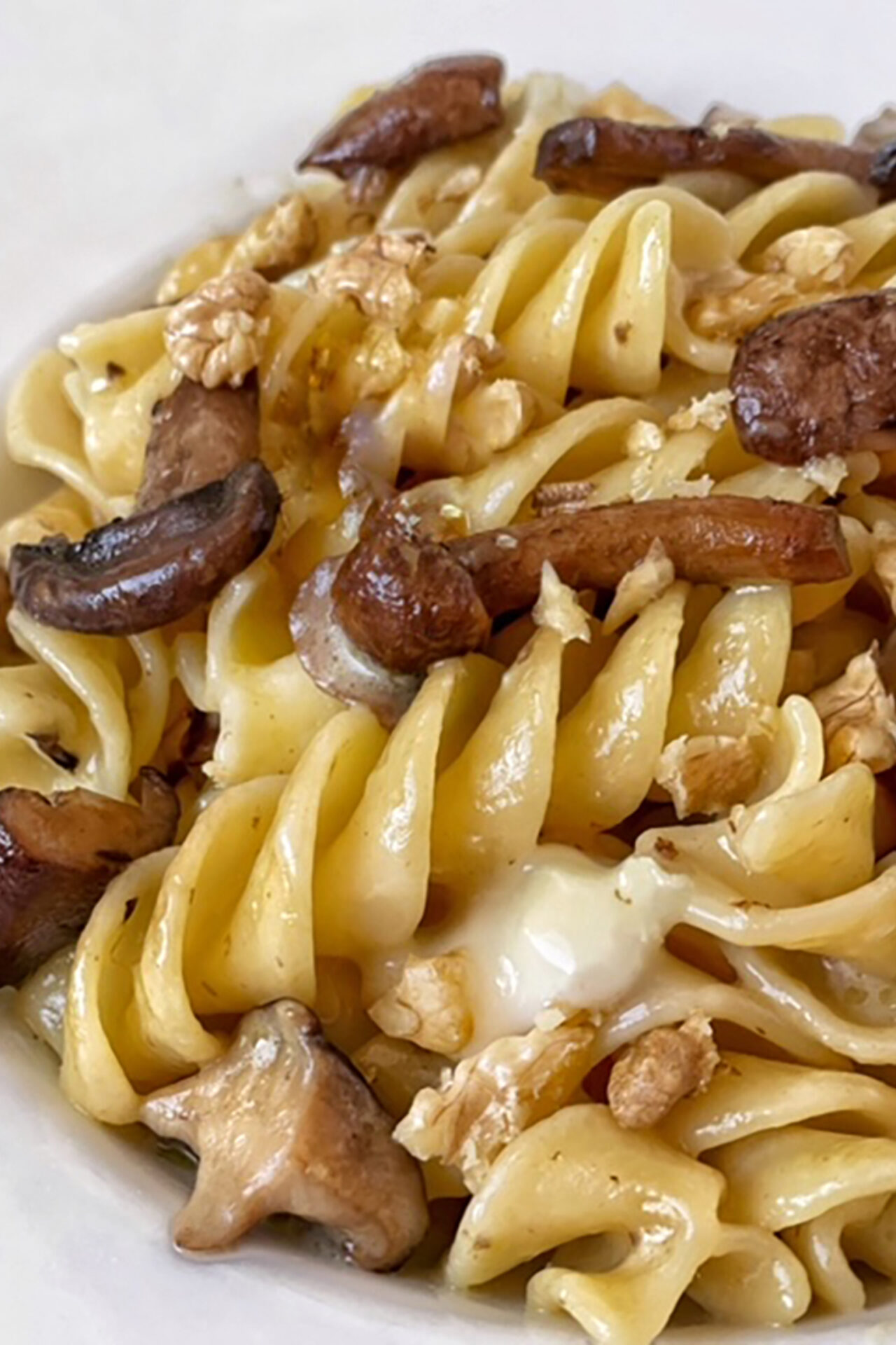 Fusillone ai funghi, taleggio e noci