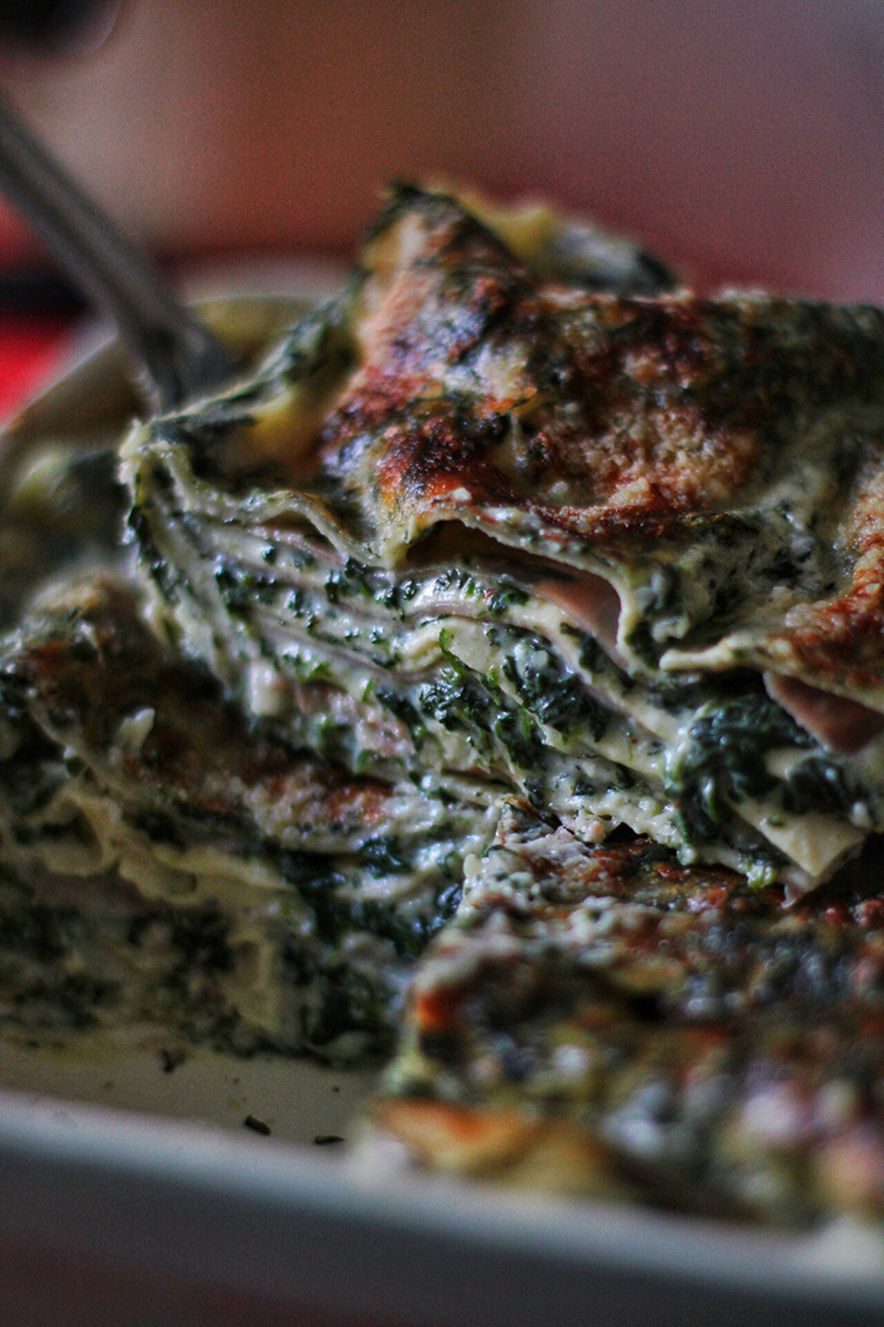 Lasagne con ricotta e spinaci