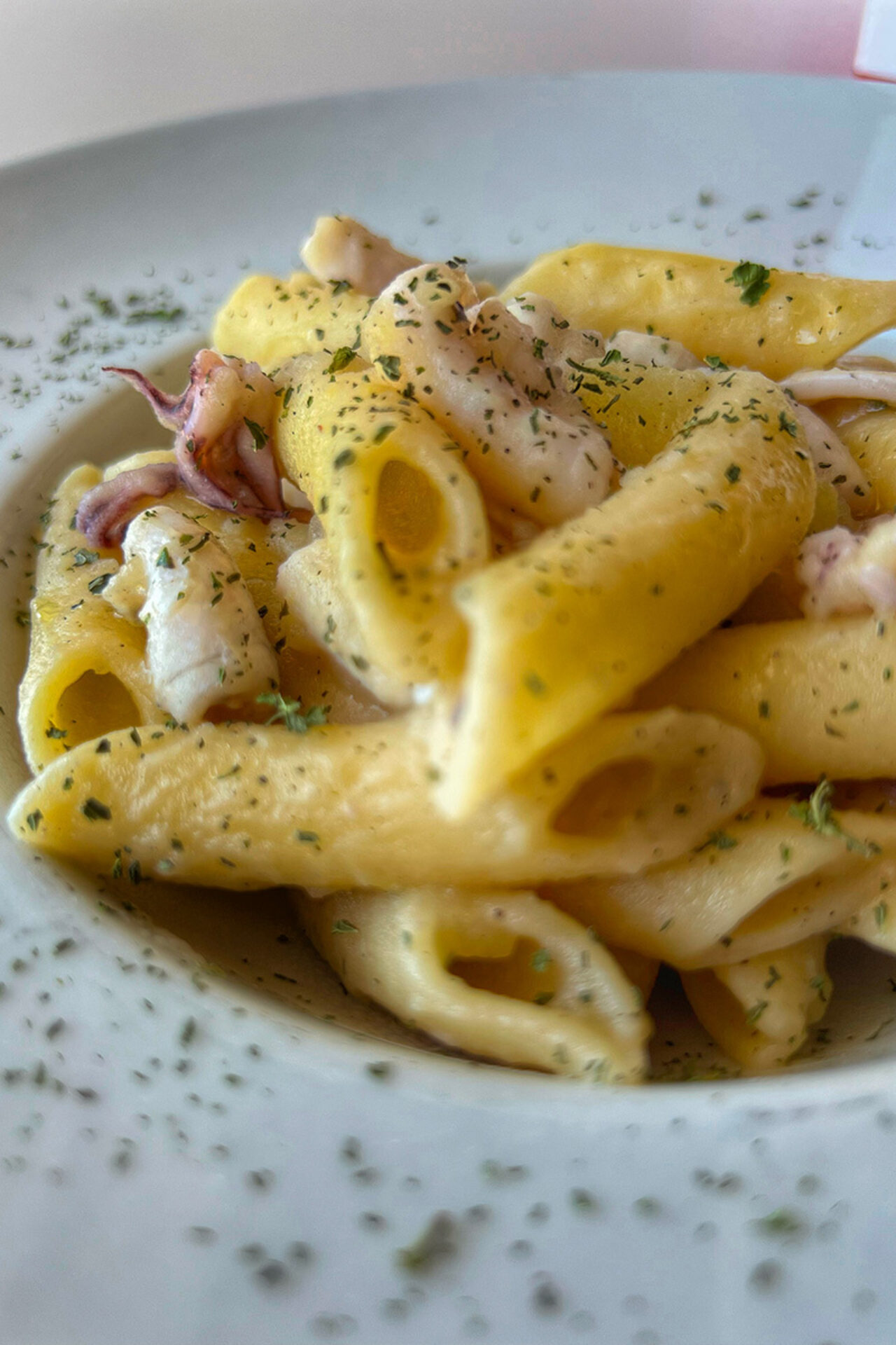 Penne lisce con crema di patate e calamari