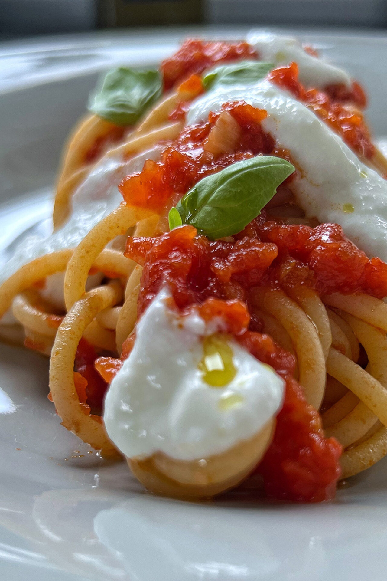 Spaghettone con salsa di pomodoro fresco e crema di ricotta