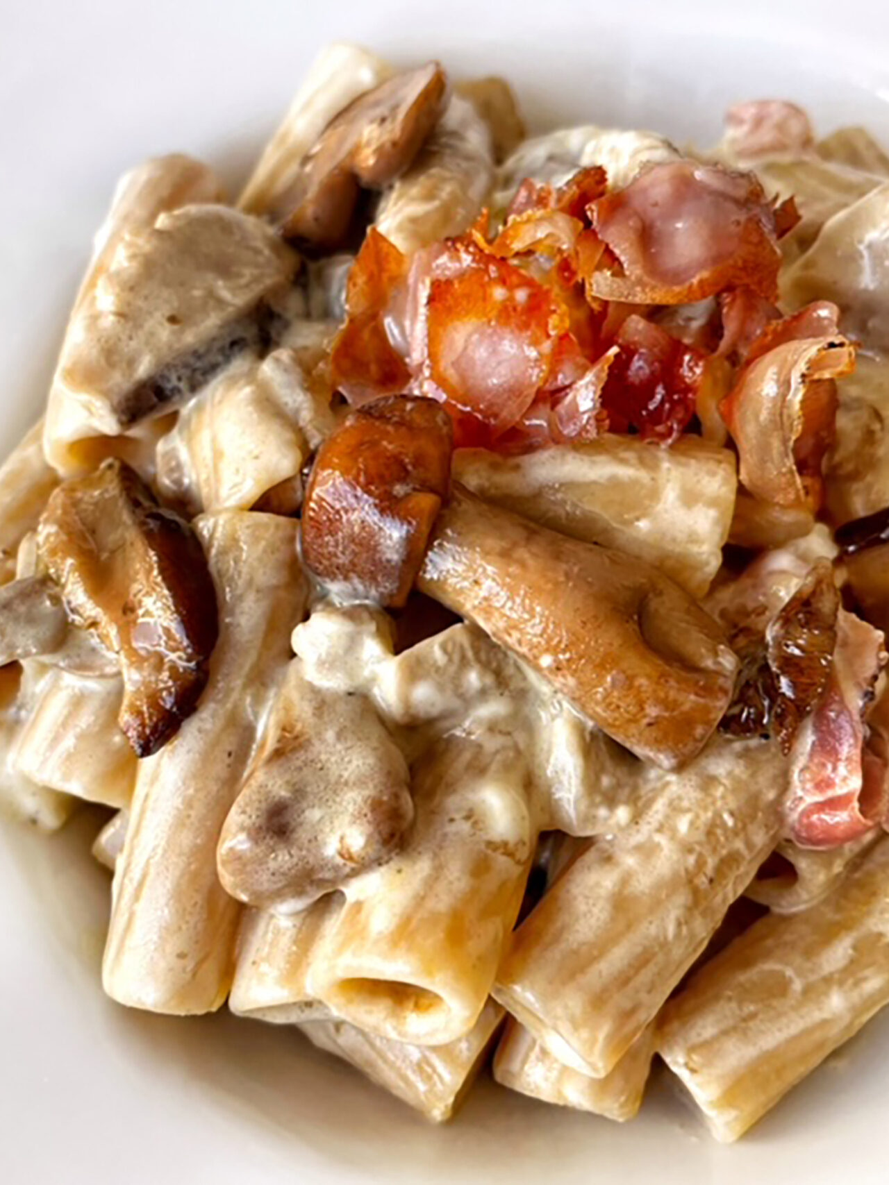 Tortiglioni integrali con funghi, crescenza e speck croccante