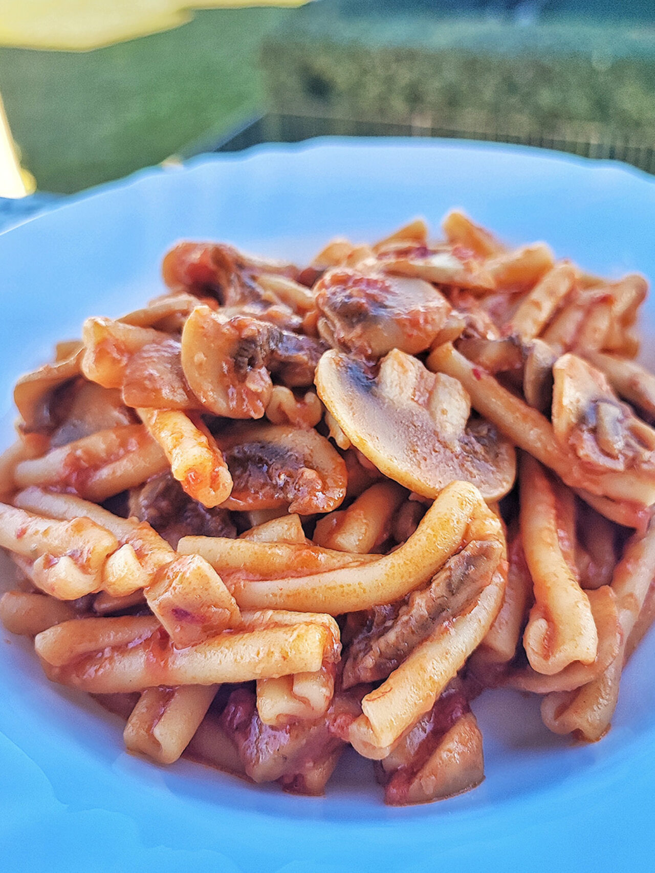 Treccia con funghi e 'nduja