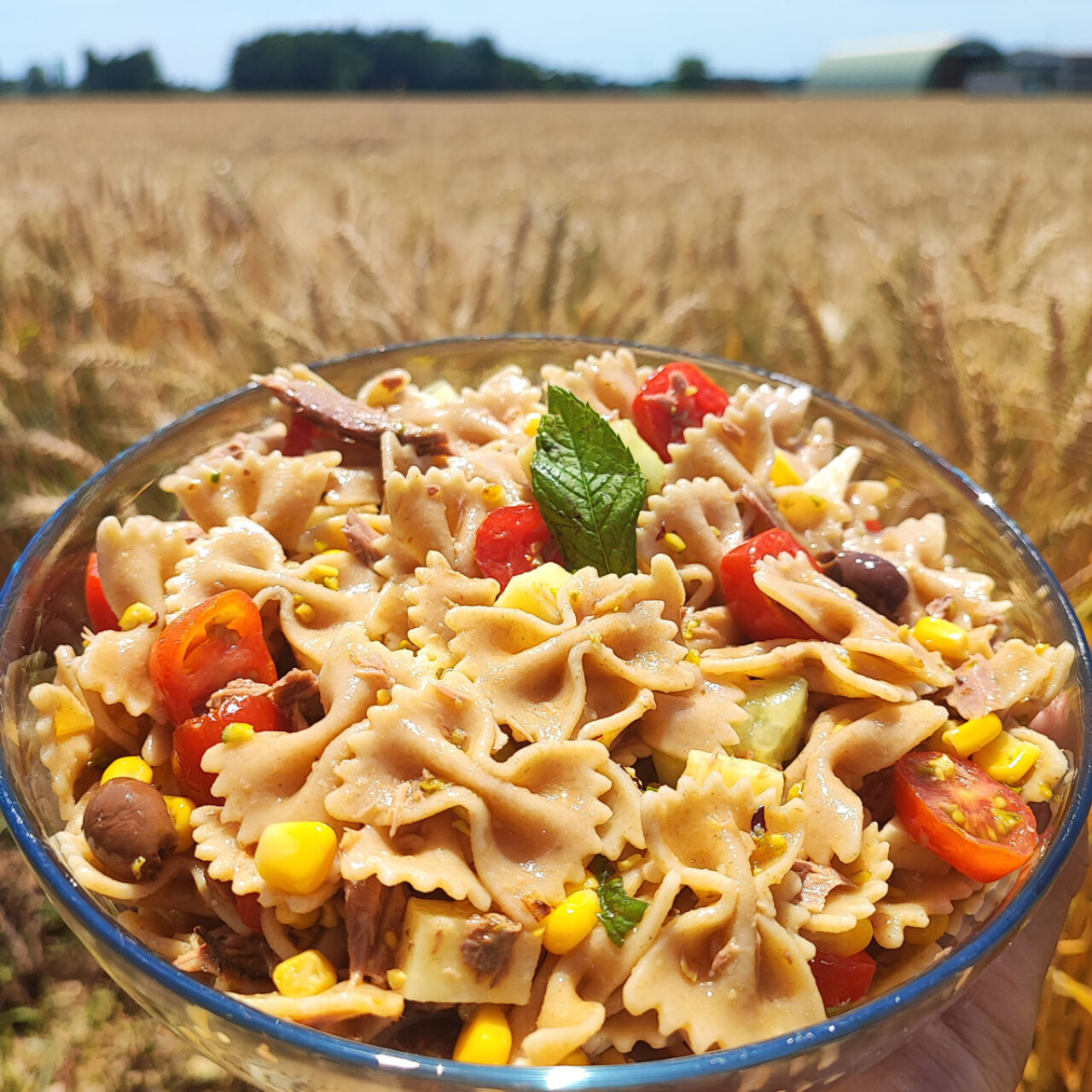 Insalata di pasta integrale