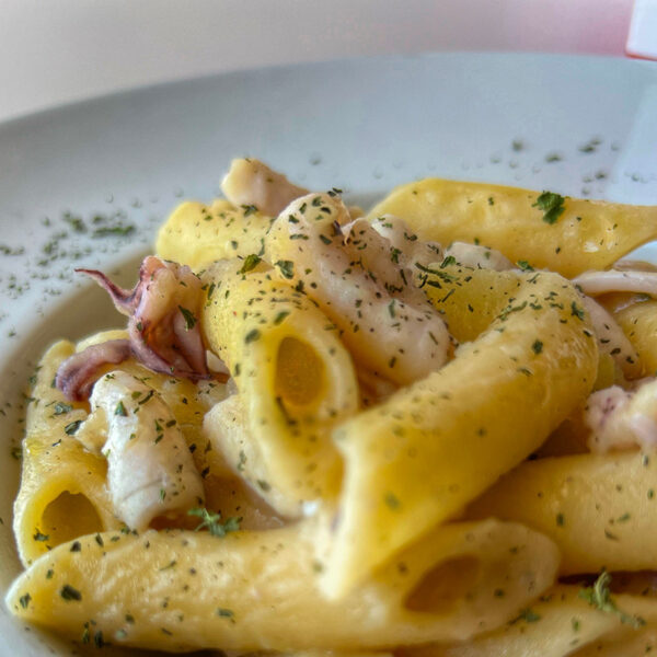 Penne lisce con crema di patate e calamari